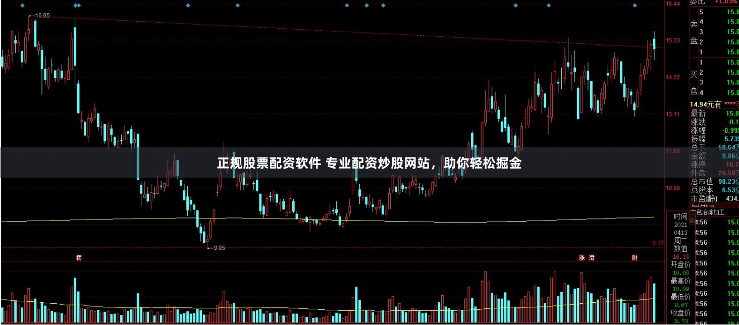 正规股票配资软件 专业配资炒股网站，助你轻松掘金