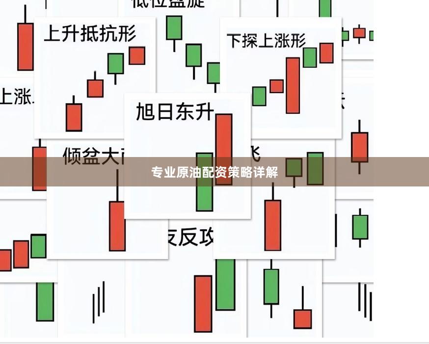 专业原油配资策略详解